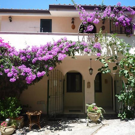 Villa Panthea Capo Vaticano Ngoại thất bức ảnh