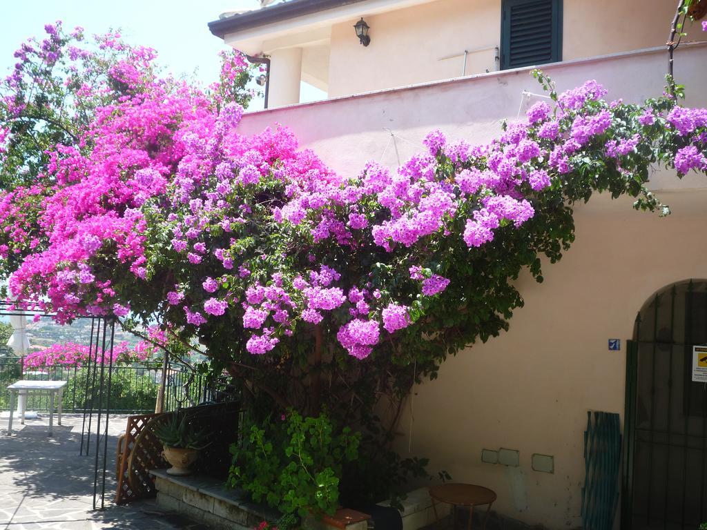 Villa Panthea Capo Vaticano Ngoại thất bức ảnh